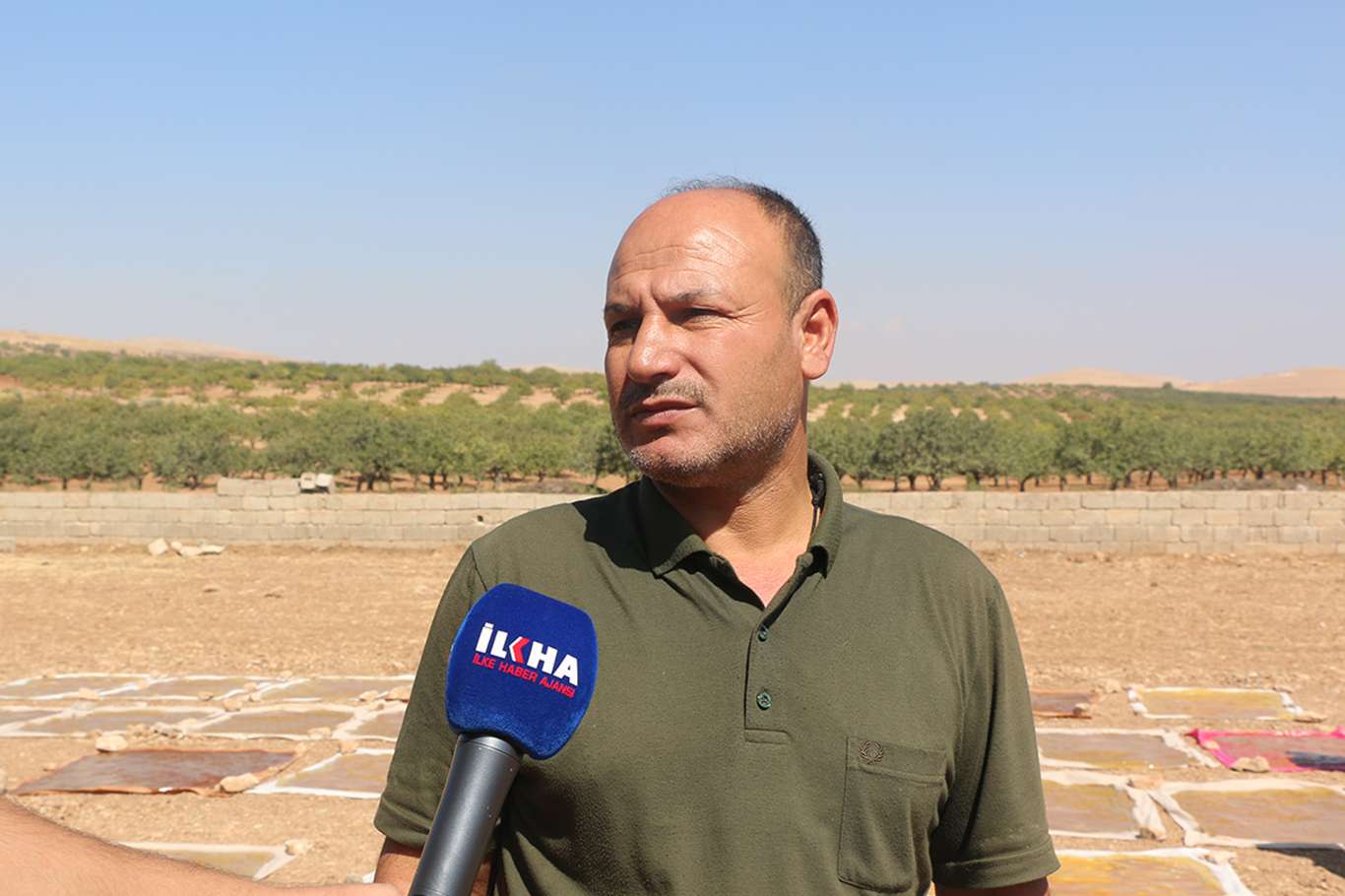 Adil Şıldır
